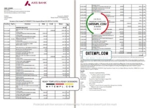 India Axis Bank statement template in Word and PDF format (2 pages)