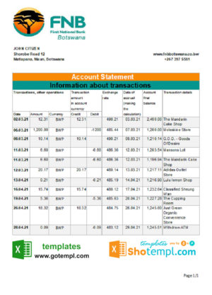 Botswana FNB of Botswana bank statement template in .xls and .pdf file format, fully editable