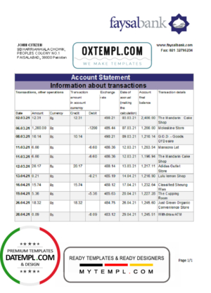 Pakistan Faysal Bank statement easy to fill template in .xls and .pdf file format