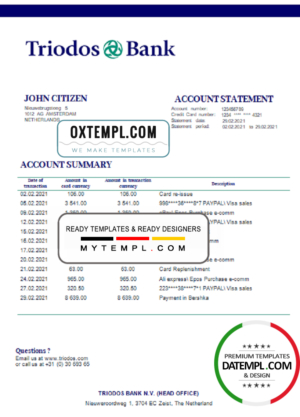 Netherlands Triodos Bank statement easy to fill template in Word and PDF format
