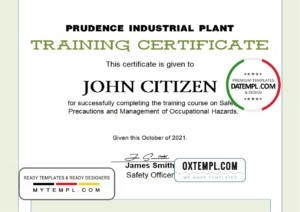 USA Training certificate template in Word and PDF format, version 2