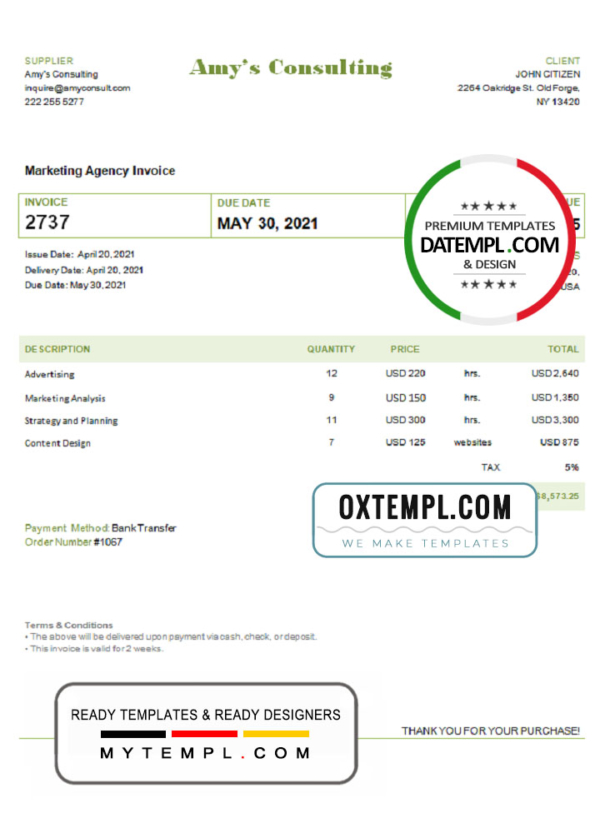 USA Amy’s Consulting invoice template in Word and PDF format, fully editable