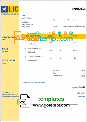 USA LIC invoice template in Word and PDF format, fully editable