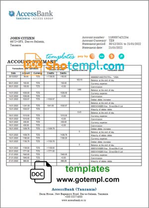 Tanzania Access Bank statement template in Word and PDF format