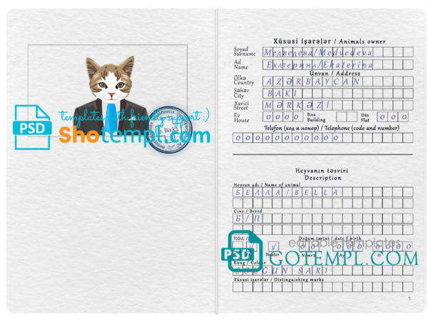 Azerbaijan cat (animal, pet) passport template in PSD, fully editable