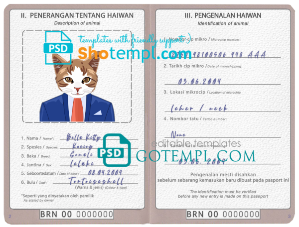 Brunei cat (animal, pet) passport PSD template, completely editable