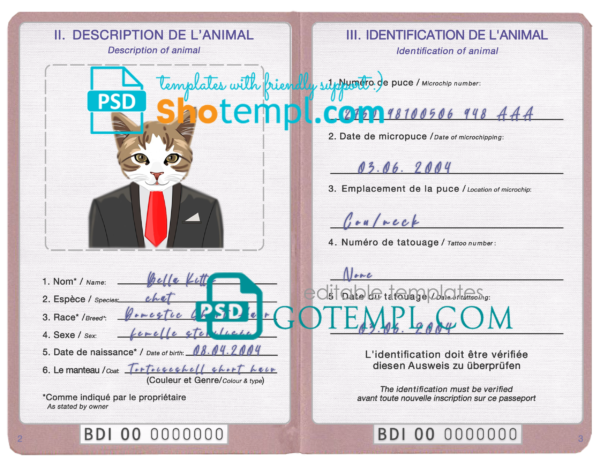 Burundi cat (animal, pet) passport PSD template, fully editable
