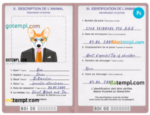 Burundi dog (animal, pet) passport PSD template, completely editable