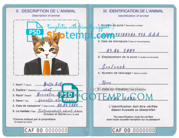 Central African Republic cat (animal, pet) passport PSD template, completely editable