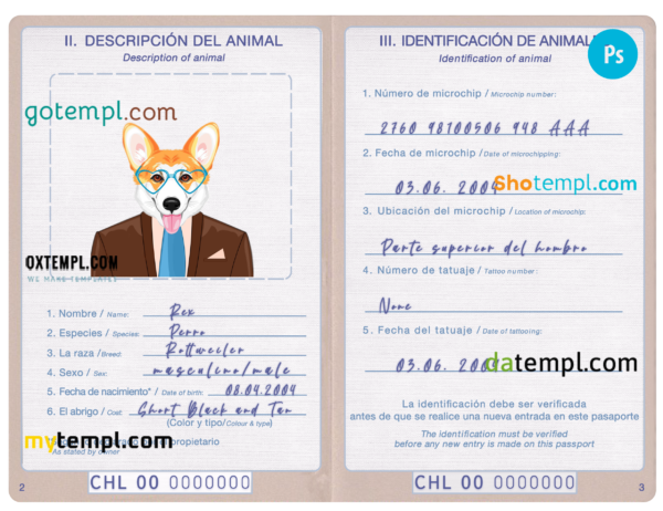 Chile dog (animal, pet) passport PSD template, completely editable