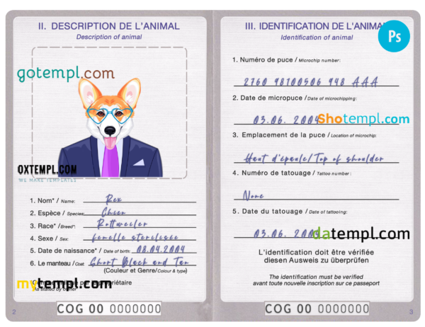 Congo dog (animal, pet) passport PSD template, completely editable