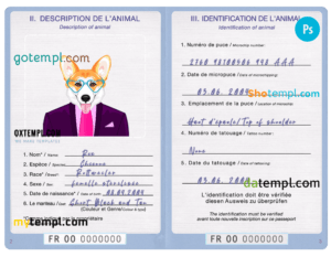 France dog (animal, pet) passport PSD template, completely editable