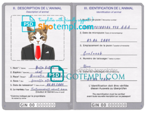 Guinea cat (animal, pet) passport PSD template, fully editable