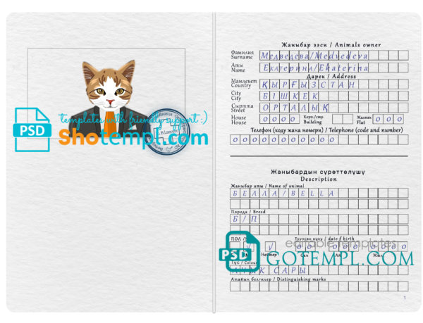 Kyrgyzstan cat (animal, pet) passport PSD template, fully editable