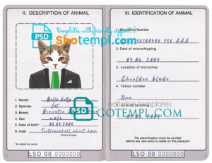 Lesotho cat (animal, pet) passport PSD template, completely editable