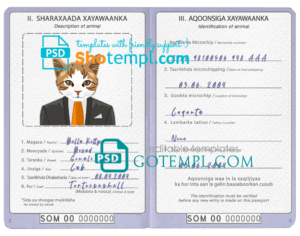Somalia cat (animal, pet) passport PSD template, fully editable