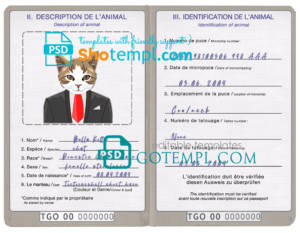 Togo cat (animal, pet) passport PSD template, completely editable