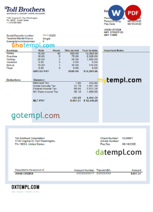 USA building company earning statement template in Word and PDF format