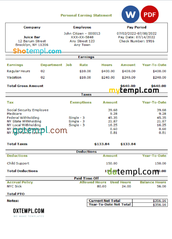 USA personal earning statement template in Word and PDF format