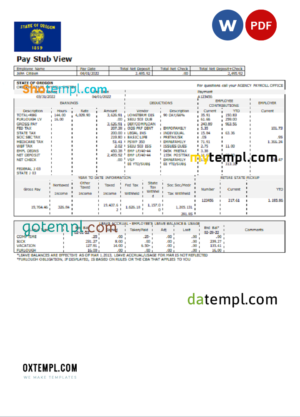 USA Texas commercial company earnings statement template in Word and PDF format