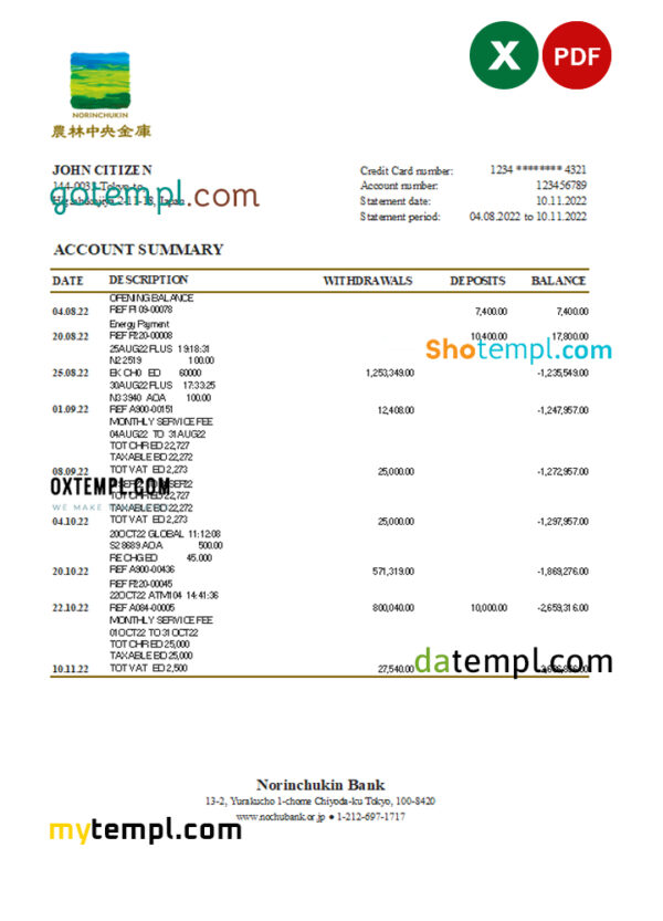 Japan Norinchukin bank statement Excel and PDF template