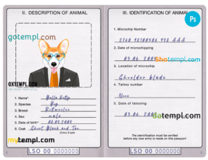 Lesotho dog (animal, pet) passport PSD template, completely editable