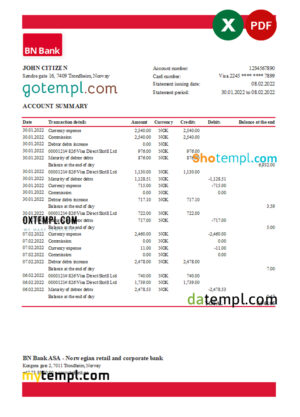 Norway BN Bank statement Excel and PDF template