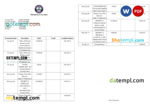 Pakistan Meezan bank statement Word and PDF template, 2 pages