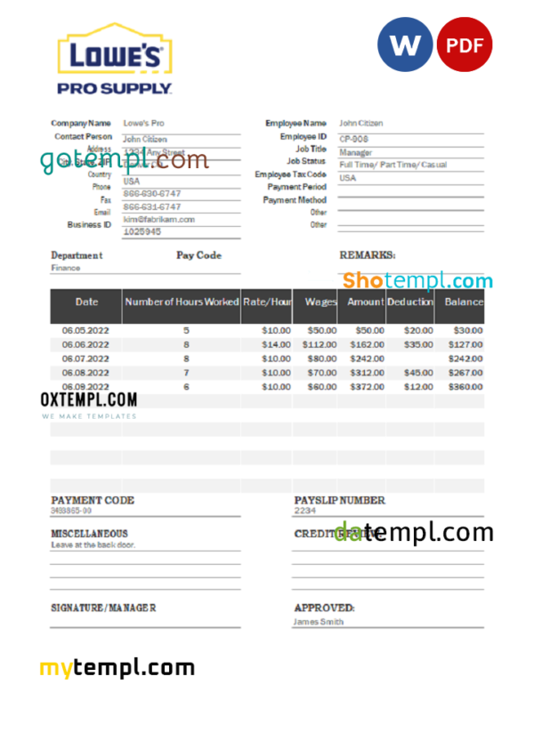 USA Lowe's Pro Supply wholesale company pay stub Word and PDF template