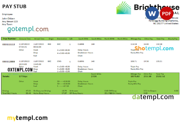 USA Brighthouse Financial financial company pay stub Word and PDF template