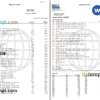 USA Navy Federal bank statement, Word and PDF template, 9 pages - Image 3