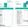 Brunei Baiduri bank statement, Word and PDF template, 3 pages