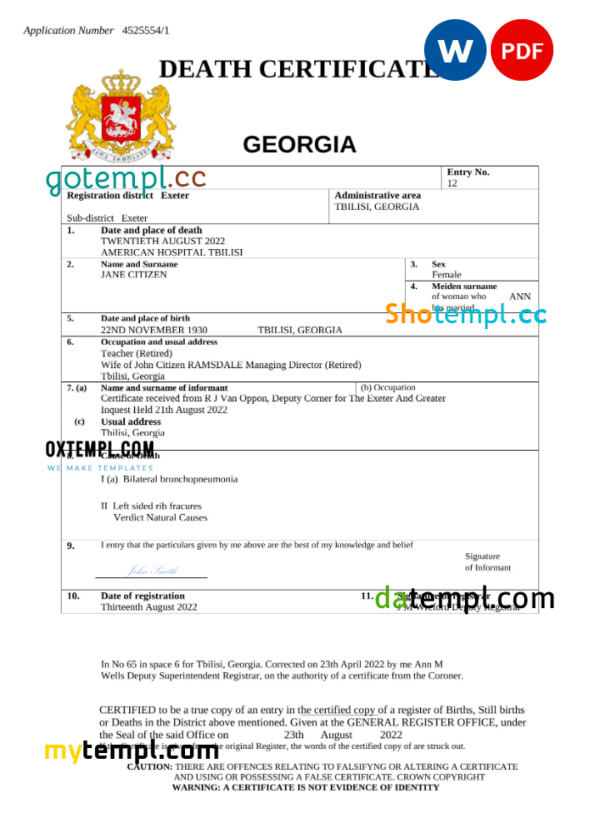 Georgia vital record death certificate Word and PDF template