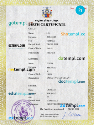 France vital record birth certificate PSD template, completely editable