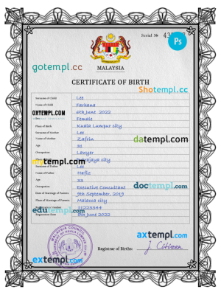 Malaysia vital record birth certificate PSD template, fully editable