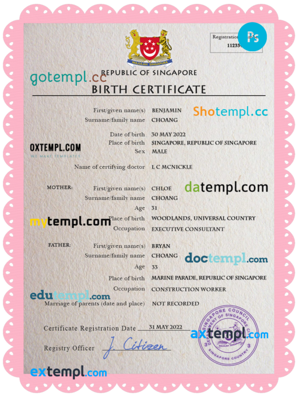 Singapore vital record birth certificate PSD template