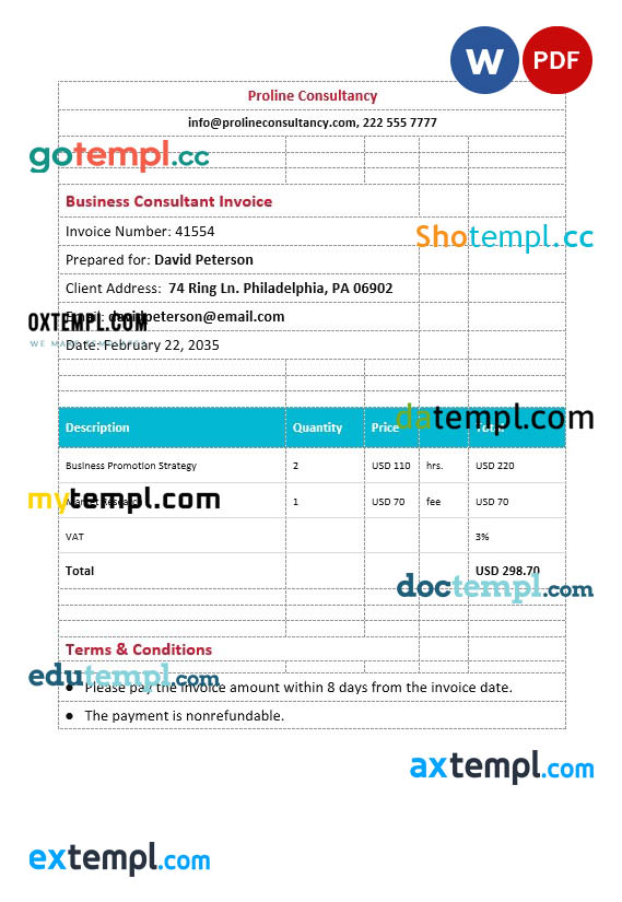 Business Consultant Invoice template in word and pdf format