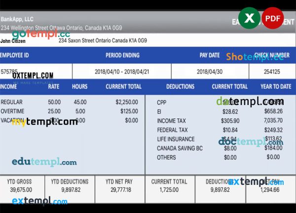 CANADA BANKAPP LLC earning statement template in EXCEL and PDF formats