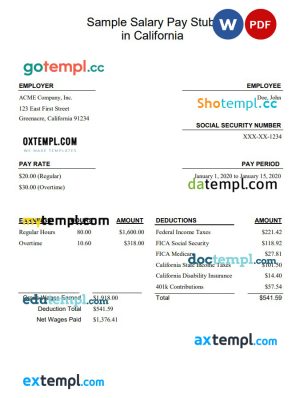 California salary pay stub Word and PDF template