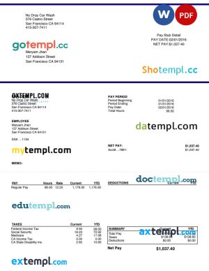Car wash pay stub Word and PDF template
