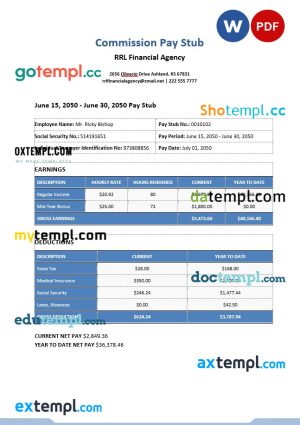 Commission pay stub Word and PDF template