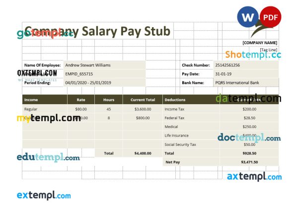 Company Salary pay stub Word and PDF template
