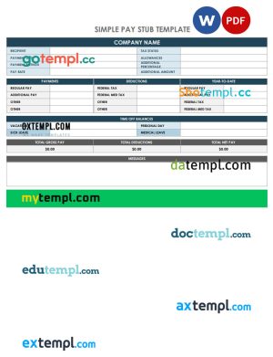 Company pay stub template in PDF and Word formats