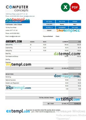 Financial avenue pay stub Word and PDF template