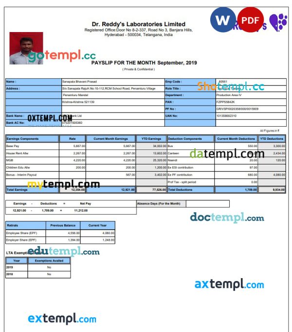 Dr. Reddy's Laboratories Limited pay stub template in PDF and Word format