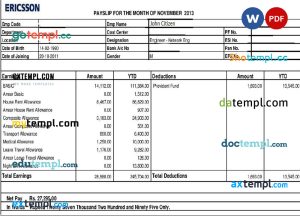 ERICSSON networking and telecommunications company paystub template in Word and PDF formats