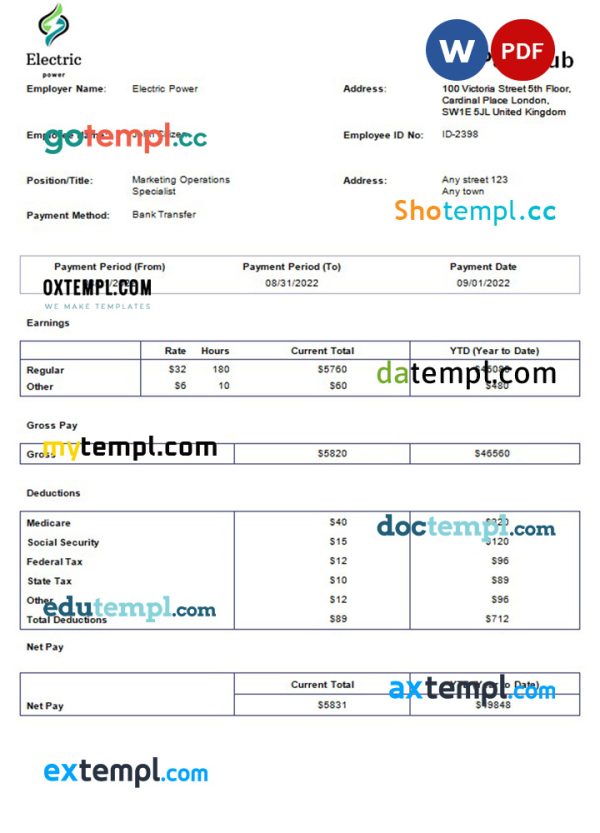 Electric power pay stub template in Word and PDF formats
