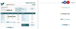 Employee pay stub Word and PDF template