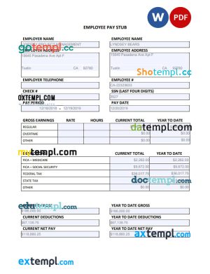 Employee annual pay stub Word and PDF template