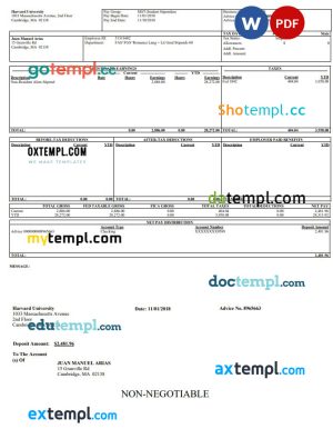 Norway Servebolt high performance hosting company invoice template in Word and PDF format, fully editable